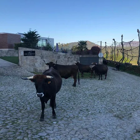 Casa Do Barroso - Casa Mae