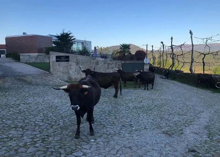 Casa Do Barroso - Casa Mae